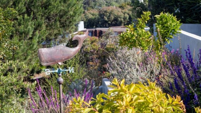 2025 Countywide Waterwise Garden Recognition Contest Winner