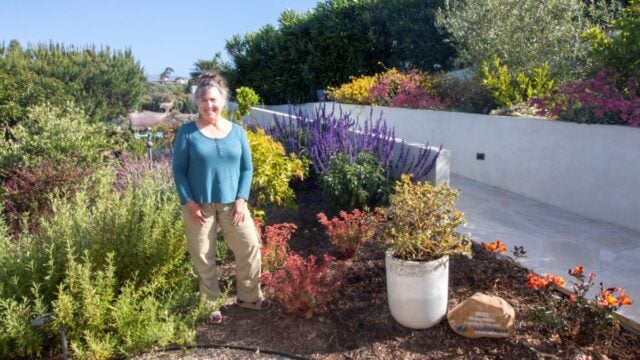 2025 Countywide Waterwise Garden Recognition Contest Winner
